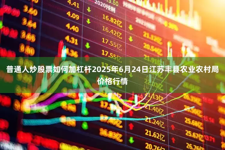 普通人炒股票如何加杠杆2025年6月24日江苏丰县农业农村局价格行情