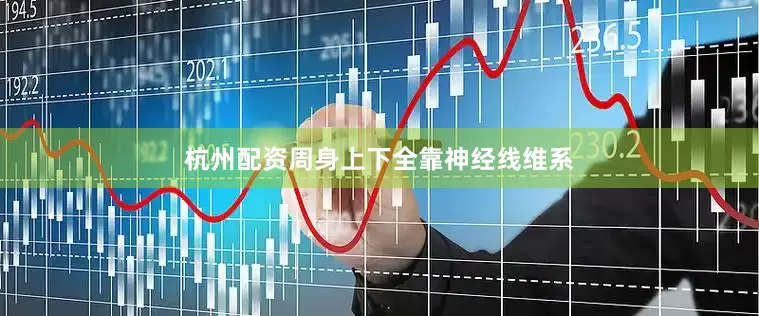 杭州配资周身上下全靠神经线维系