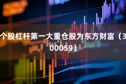 个股杠杆第一大重仓股为东方财富（300059）