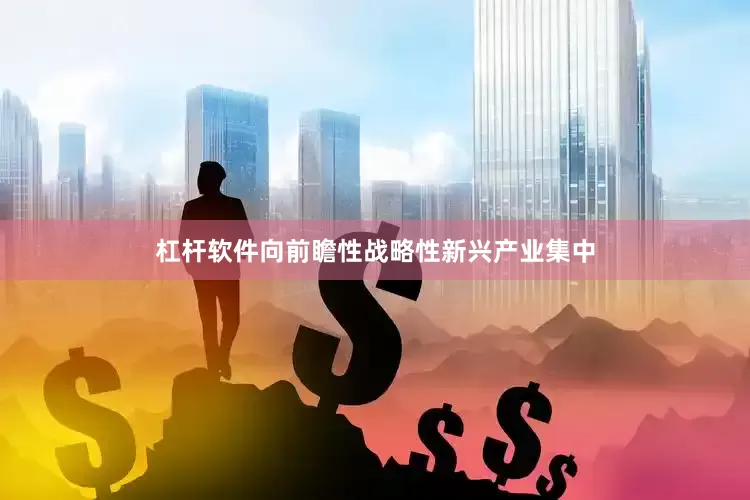 杠杆软件向前瞻性战略性新兴产业集中