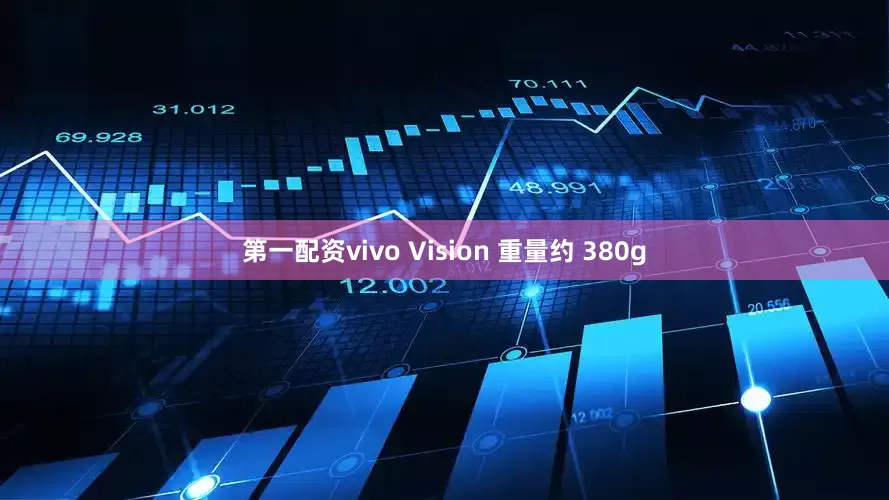 第一配资vivo Vision 重量约 380g