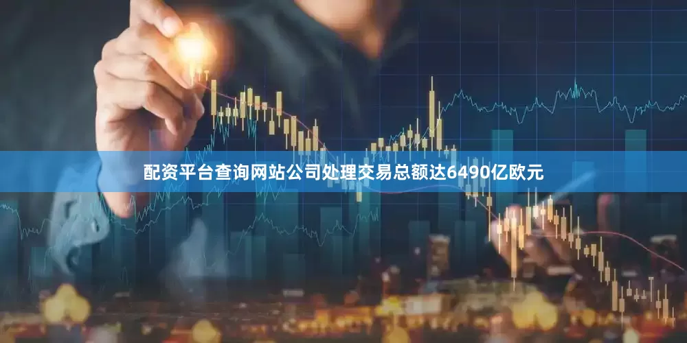 配资平台查询网站公司处理交易总额达6490亿欧元