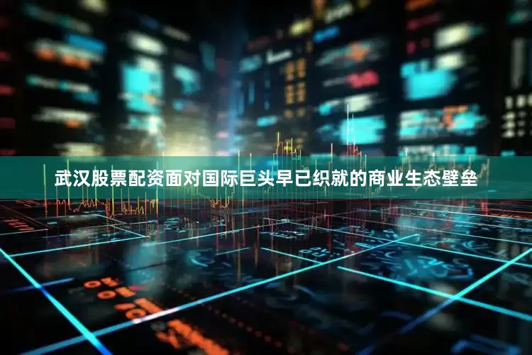 武汉股票配资面对国际巨头早已织就的商业生态壁垒