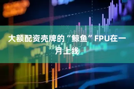 大额配资壳牌的“鲸鱼”FPU在一月上线