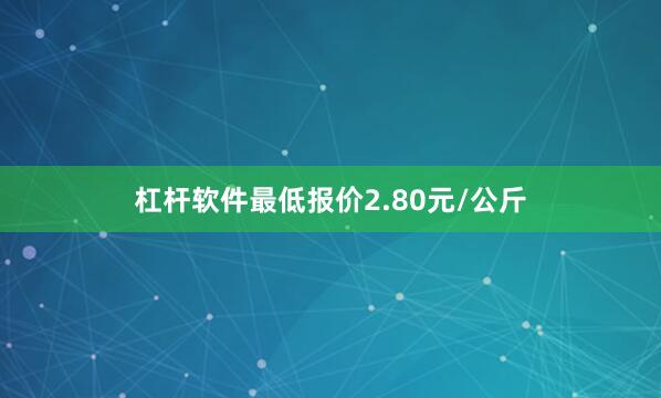 杠杆软件最低报价2.80元/公斤