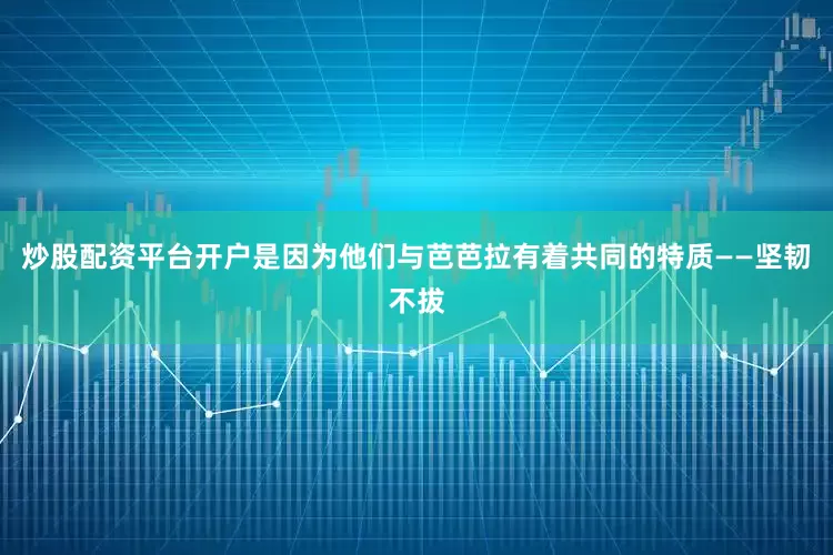 炒股配资平台开户是因为他们与芭芭拉有着共同的特质——坚韧不拔